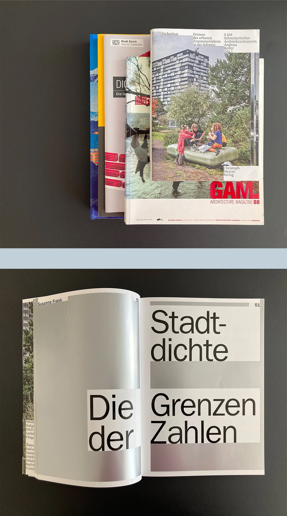 Publikationen zur Dichte, Prof. Dr. Susanne Frank